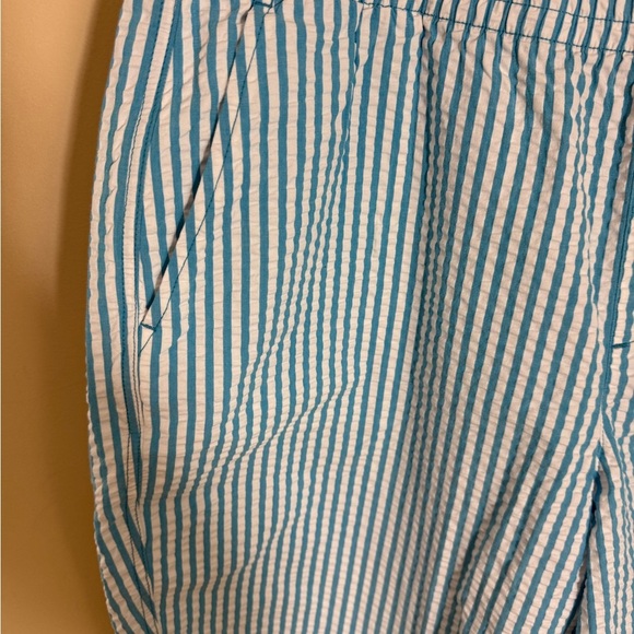 Land End Blue and White Stripe Seersucker Pull On Short Womans Size 18W - Picture 5 of 7